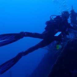 Dive Georgia