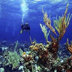 Mid Atlantic Scuba Center