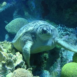 New England Aquarium