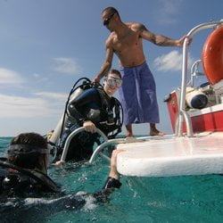 Oceanblue Divers