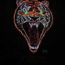 Point Defiance Zoo & Aquarium