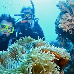 The Scuba School
